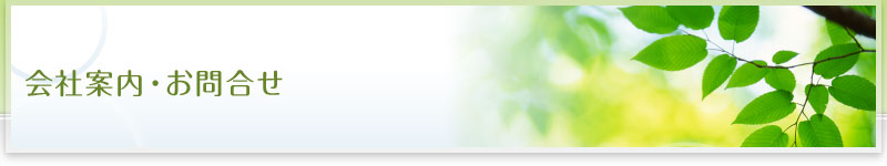 ��Јē��E���₢����